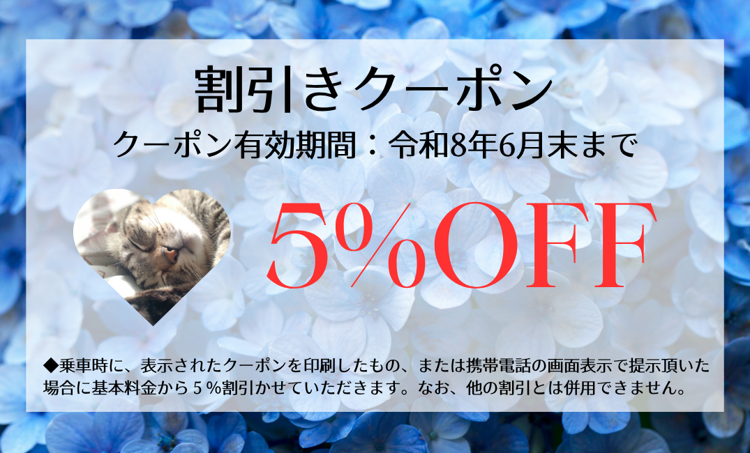 代表写真