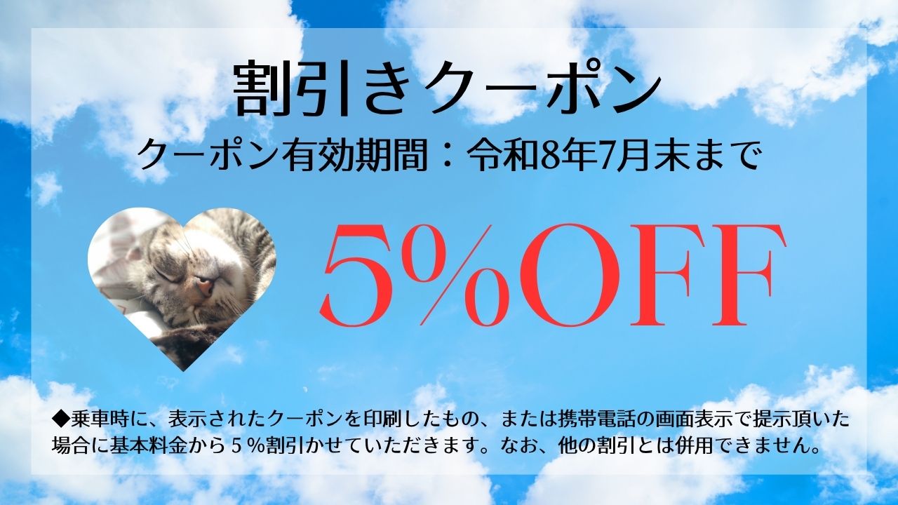 代表写真