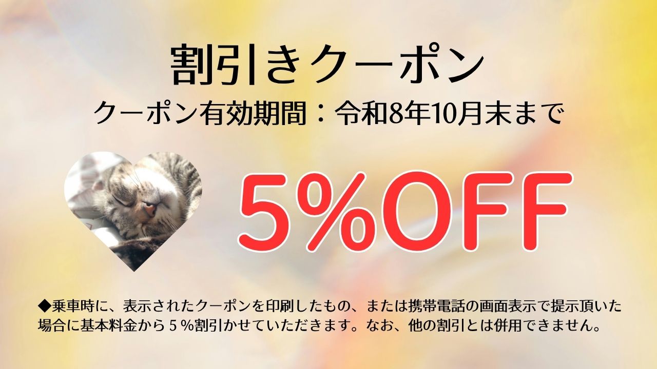 代表写真